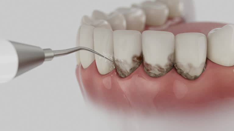 Reliable Dental contractor in Union Park, FL by Dentist Open Now